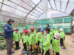 Outing Class 1 SDIT Al-Imam Kuningan – “Mengenal Alam dan Pertanian” di Perkebunan Jagung Cigintung